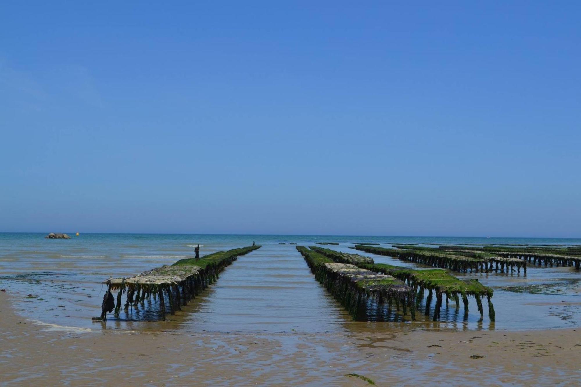 Commes Le So Art, Grande Maison 4 Chambres, Terrain De Petanque, Grand Jardin Clos, Flipper, Babyfoot, Jeux Arcade, Ping Pong,1 Km Mer, Proche Golf, Port En Bessin, Bayeux Et Plages Du Debarquement, Adaptee Enfants מראה חיצוני תמונה
